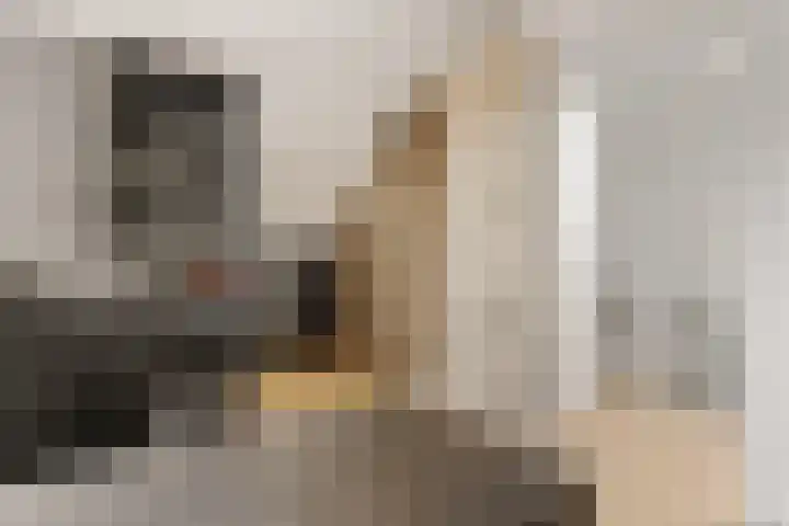Burgemeester de Bruïnelaan 135 Zwijndrecht thumbnail 28