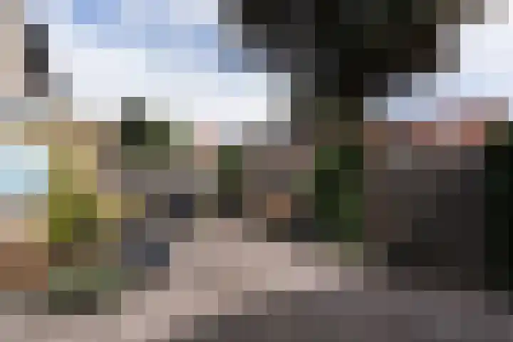 Burgemeester de Bruïnelaan 135 Zwijndrecht thumbnail 4