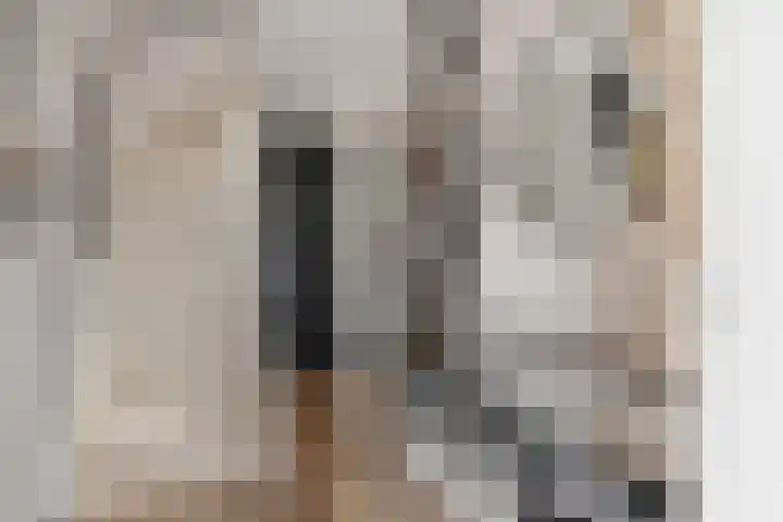 Burgemeester de Bruïnelaan 135 Zwijndrecht thumbnail 6
