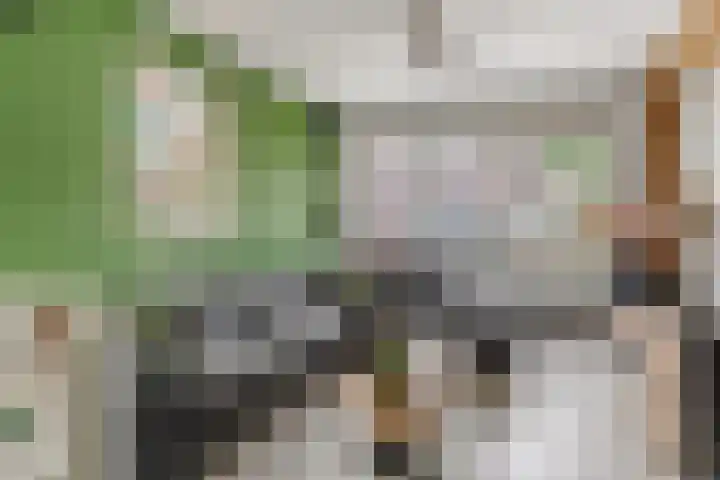 Burgemeester de Bruïnelaan 135 Zwijndrecht thumbnail 7