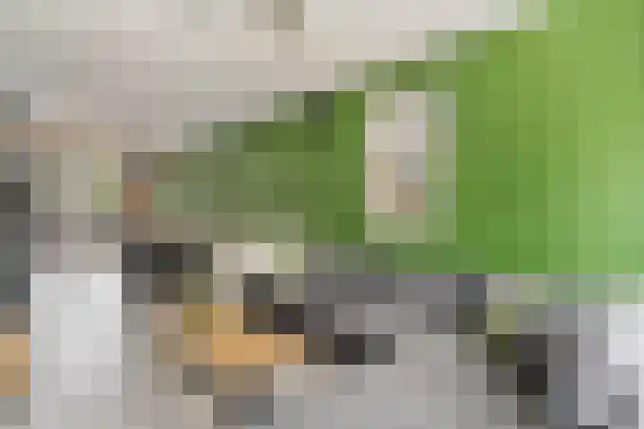Burgemeester de Bruïnelaan 135 Zwijndrecht thumbnail 8