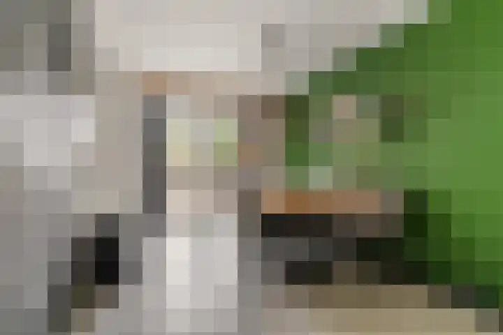 Burgemeester de Bruïnelaan 135 Zwijndrecht thumbnail 9