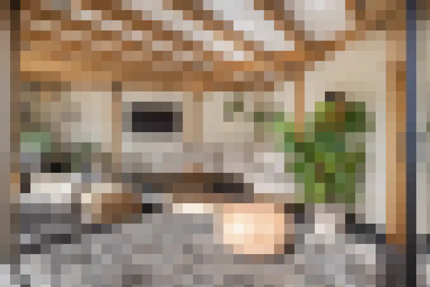 Burgemeester de Bruïnelaan 17 Zwijndrecht thumbnail 31