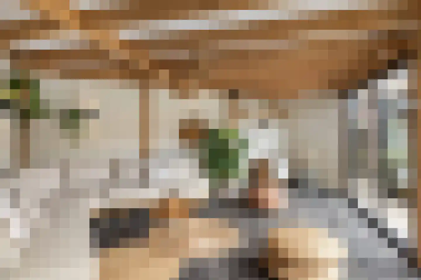 Burgemeester de Bruïnelaan 17 Zwijndrecht thumbnail 33