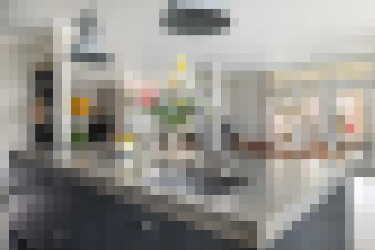 Burgemeester de Bruïnelaan 17 Zwijndrecht thumbnail 43