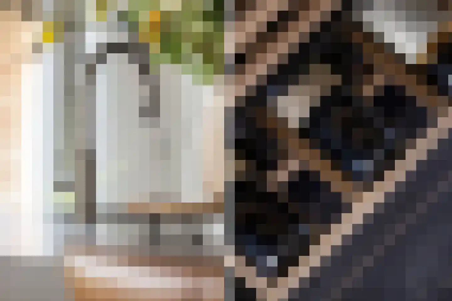 Burgemeester de Bruïnelaan 17 Zwijndrecht thumbnail 49