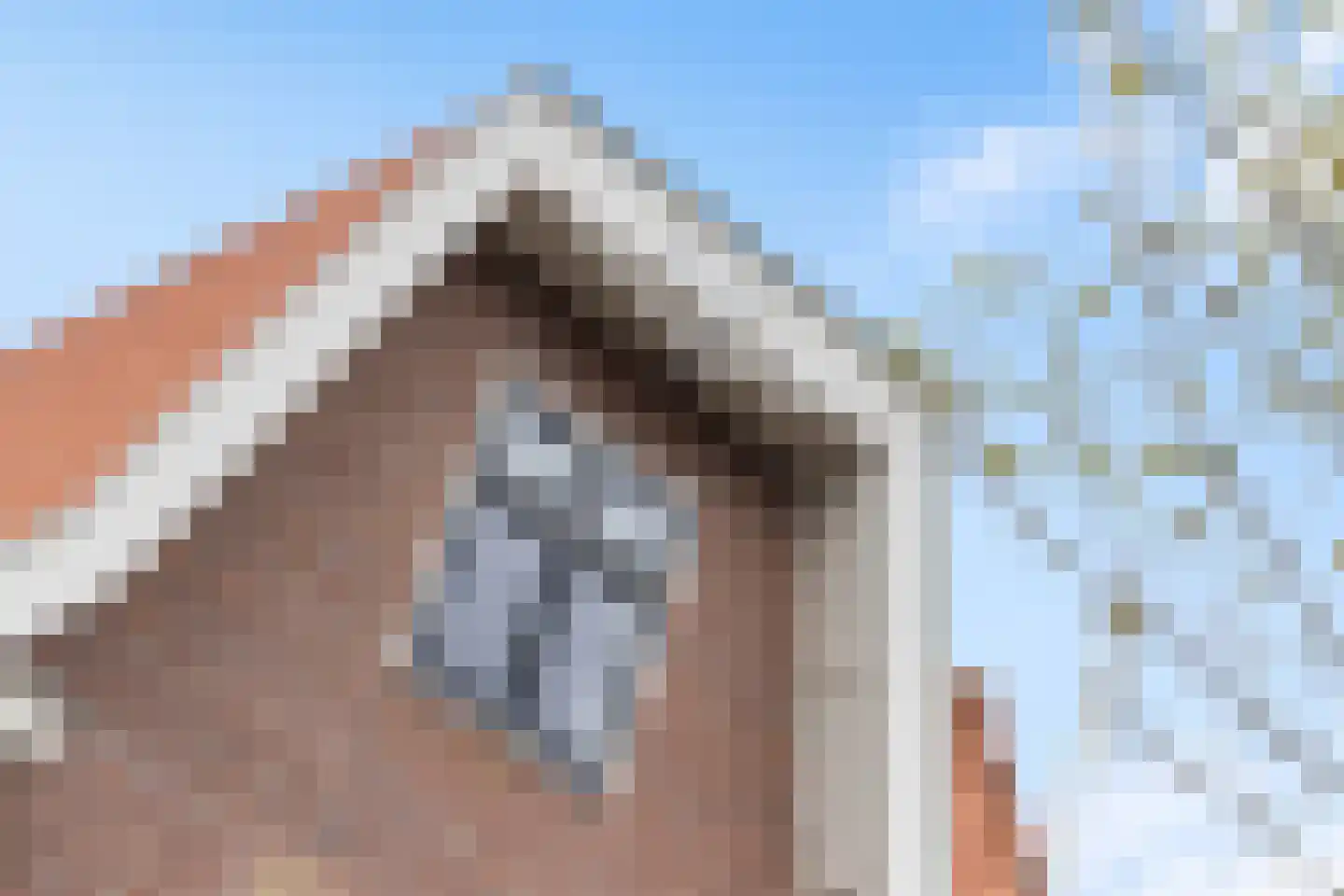 Burgemeester de Bruïnelaan 17 Zwijndrecht thumbnail 6