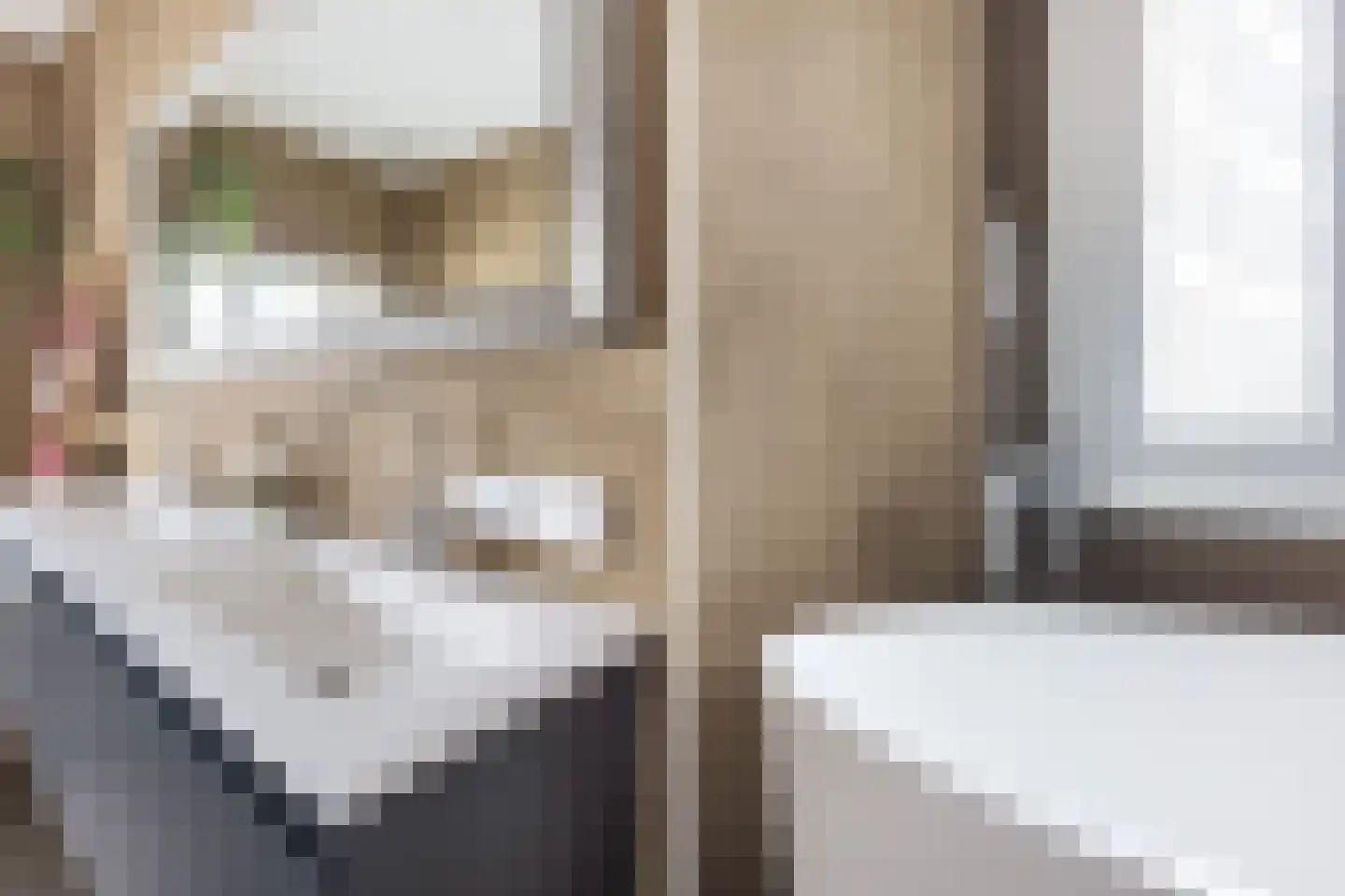 Burgemeester de Bruïnelaan 17 Zwijndrecht thumbnail 65