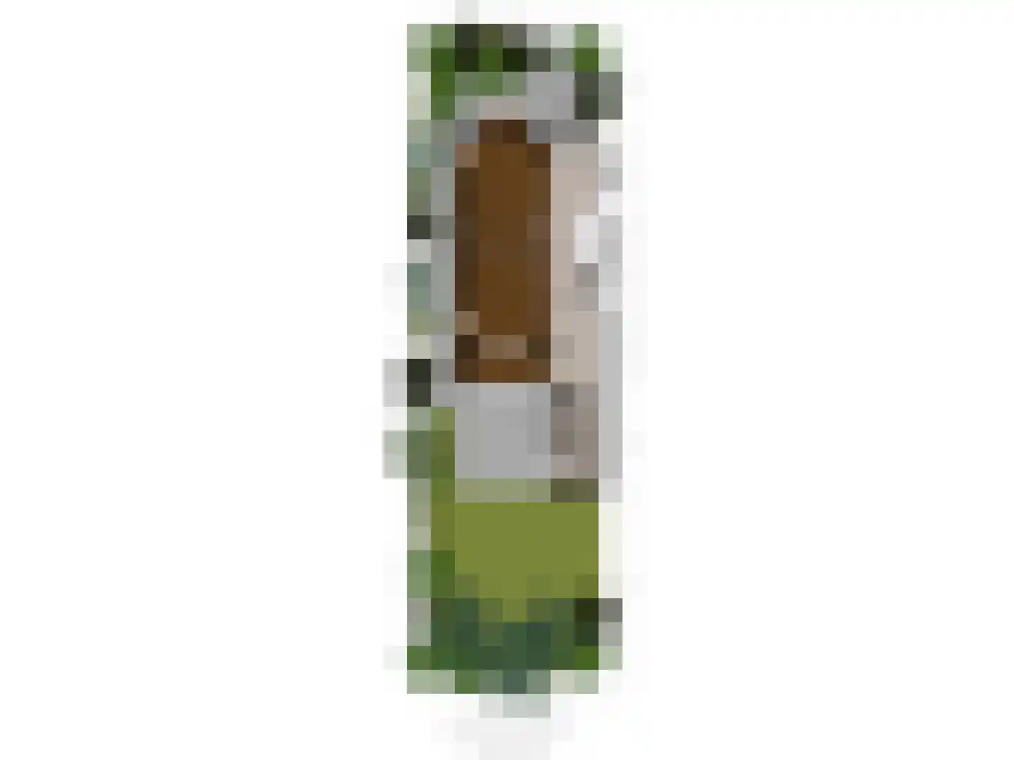 Burgemeester de Bruïnelaan 18 Zwijndrecht thumbnail 63