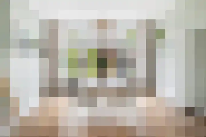 Burgemeester de Bruïnelaan 35 Zwijndrecht thumbnail 20
