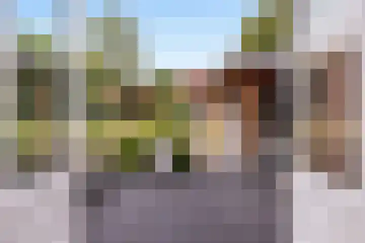 Burgemeester de Bruïnelaan 35 Zwijndrecht thumbnail 23