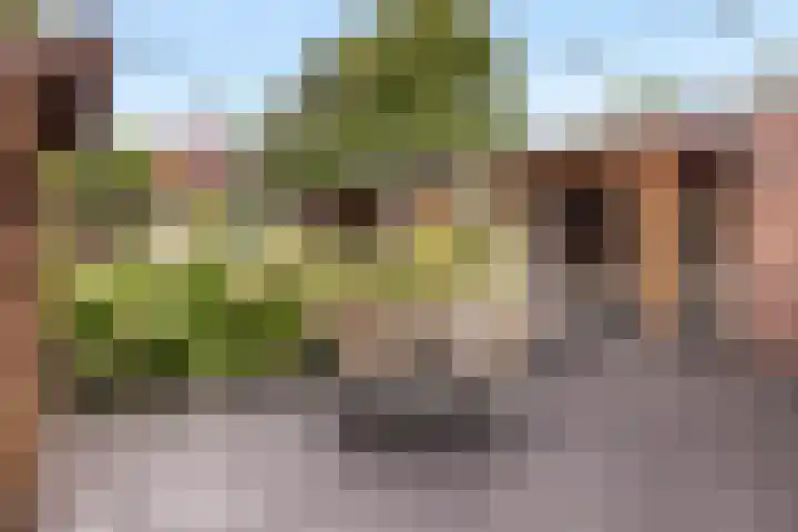 Burgemeester de Bruïnelaan 35 Zwijndrecht thumbnail 26