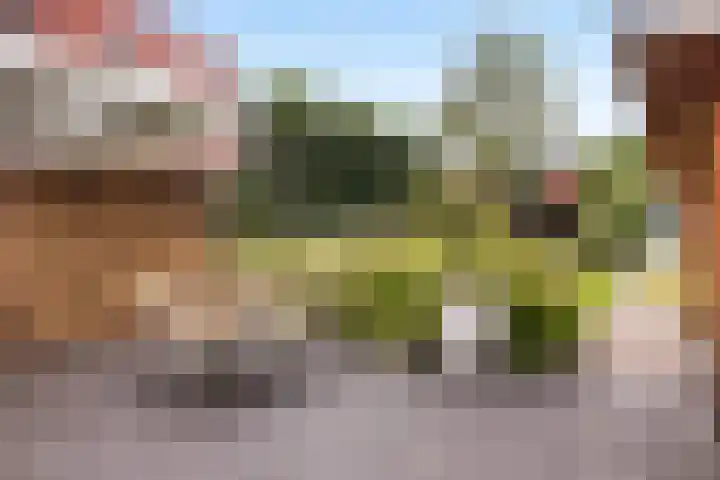 Burgemeester de Bruïnelaan 35 Zwijndrecht thumbnail 27