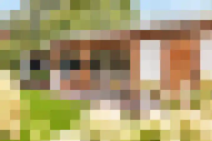 Burgemeester de Bruïnelaan 35 Zwijndrecht thumbnail 28