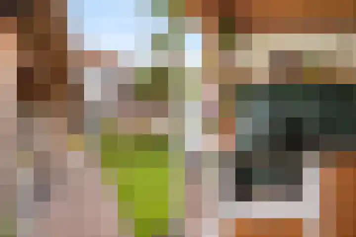 Burgemeester de Bruïnelaan 35 Zwijndrecht thumbnail 31