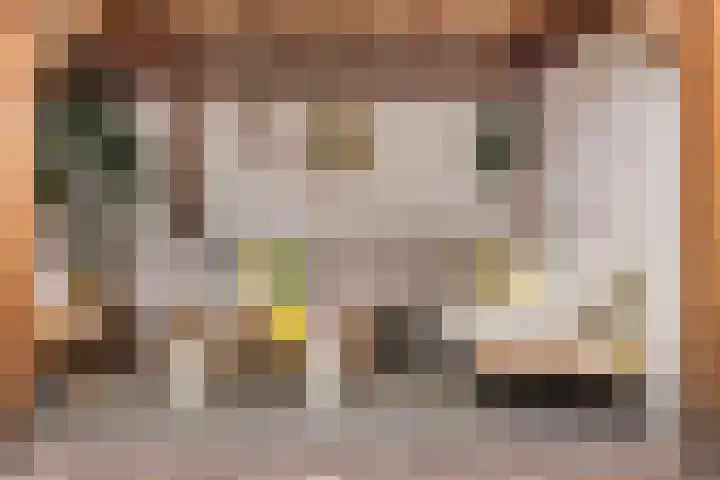 Burgemeester de Bruïnelaan 35 Zwijndrecht thumbnail 33