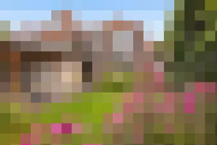 Burgemeester de Bruïnelaan 35 Zwijndrecht thumbnail 34