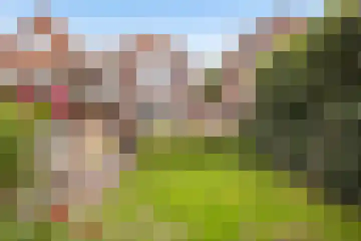 Burgemeester de Bruïnelaan 35 Zwijndrecht thumbnail 35