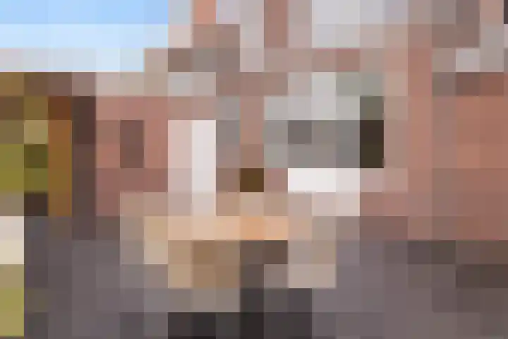 Burgemeester de Bruïnelaan 35 Zwijndrecht thumbnail 36