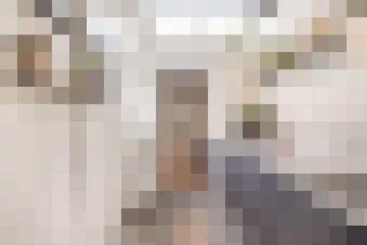 Burgemeester de Bruïnelaan 35 Zwijndrecht thumbnail 39