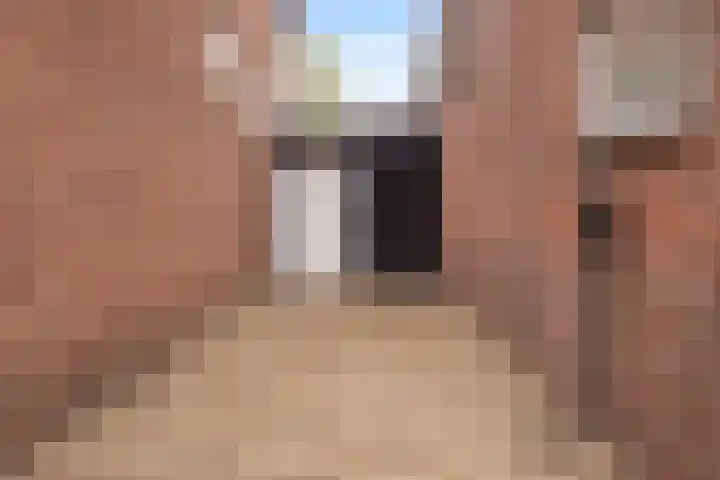Burgemeester de Bruïnelaan 35 Zwijndrecht thumbnail 4