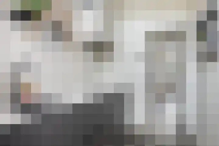 Burgemeester de Bruïnelaan 35 Zwijndrecht thumbnail 41