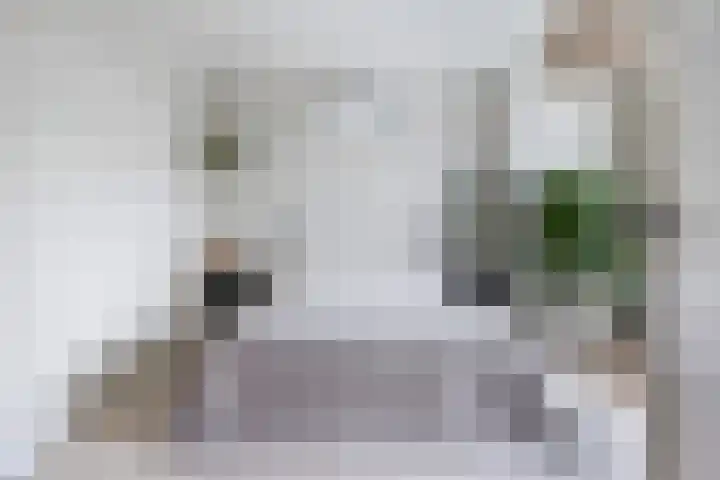 Burgemeester de Bruïnelaan 35 Zwijndrecht thumbnail 44