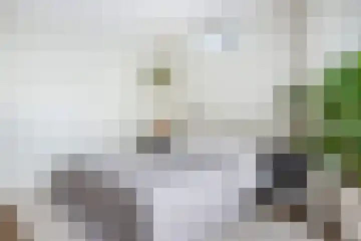 Burgemeester de Bruïnelaan 35 Zwijndrecht thumbnail 47