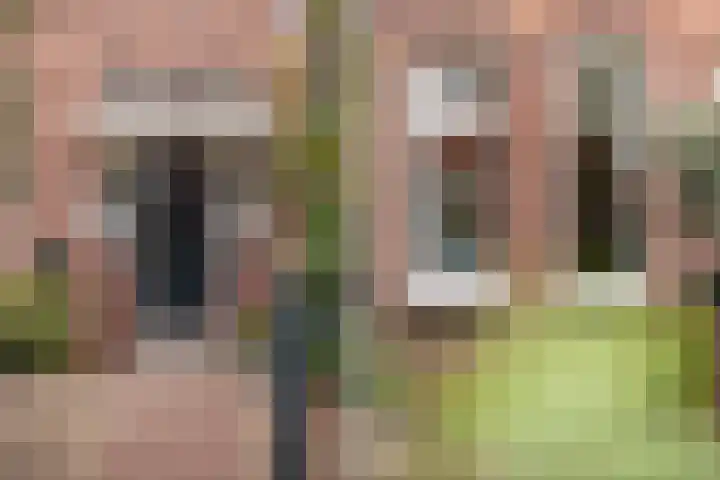 Burgemeester de Bruïnelaan 35 Zwijndrecht thumbnail 6