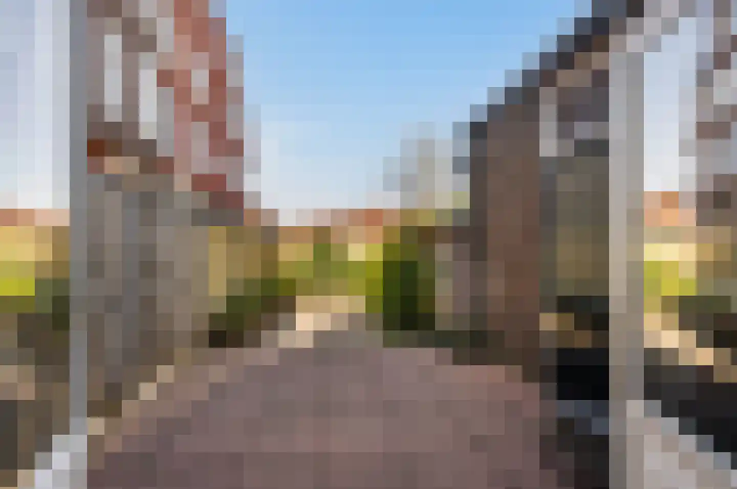 Burgemeester de Bruïnelaan 41 Zwijndrecht thumbnail 30