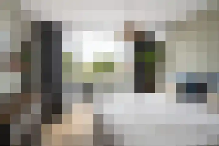 Burgemeester de Bruïnelaan 87 Zwijndrecht thumbnail 25