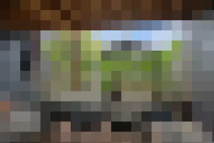 Burgemeester de Bruïnelaan 87 Zwijndrecht thumbnail 58