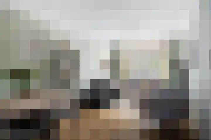 Burgemeester de Bruïnelaan 87 Zwijndrecht thumbnail 6