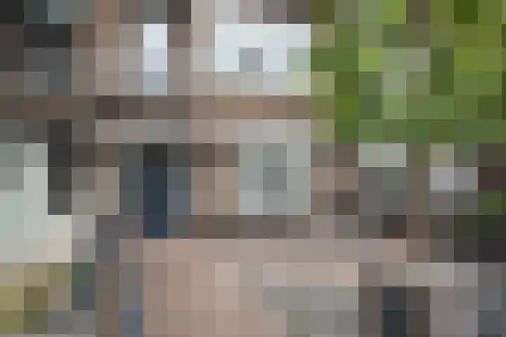 Burgemeester de Bruïnelaan 87 Zwijndrecht thumbnail 61