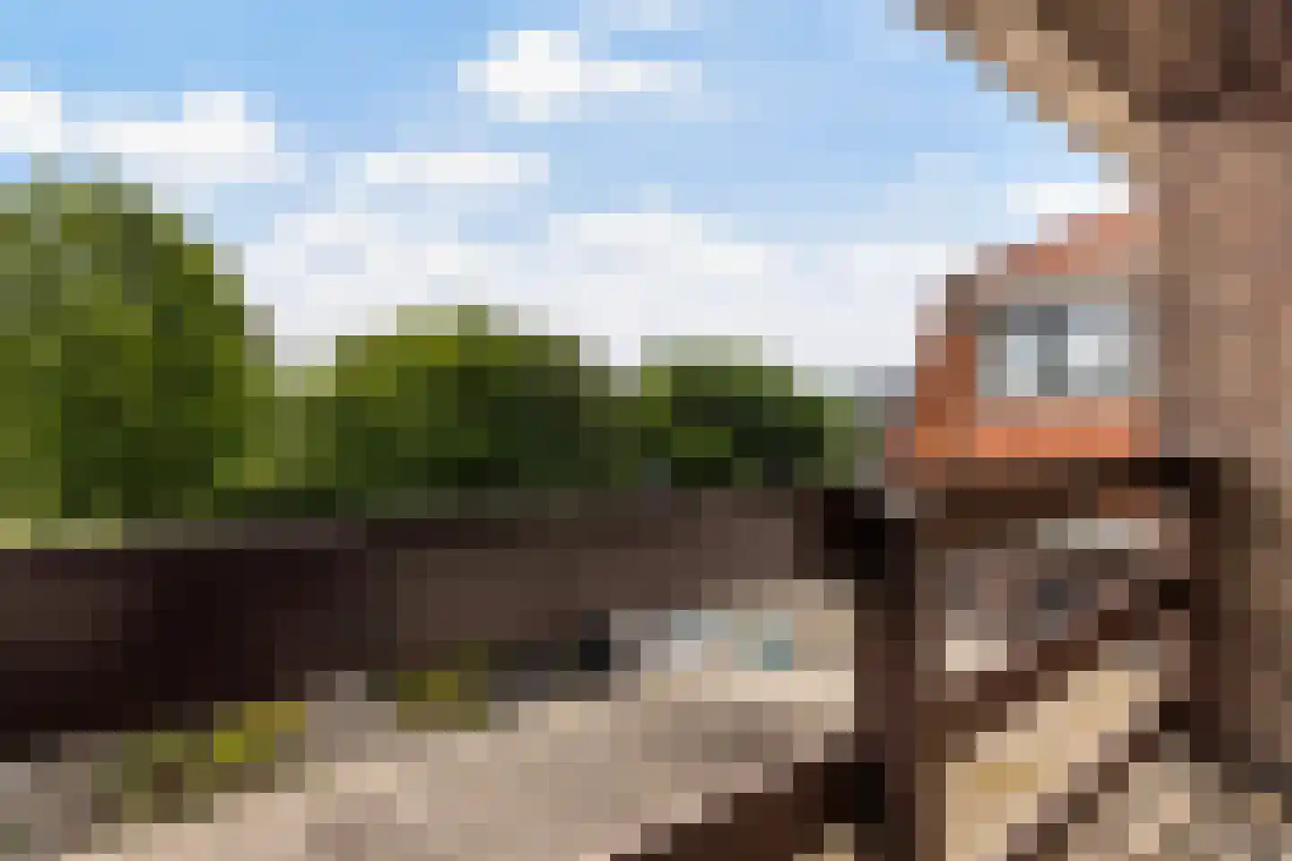 Burgemeester de Bruïnelaan 94 Zwijndrecht thumbnail 22