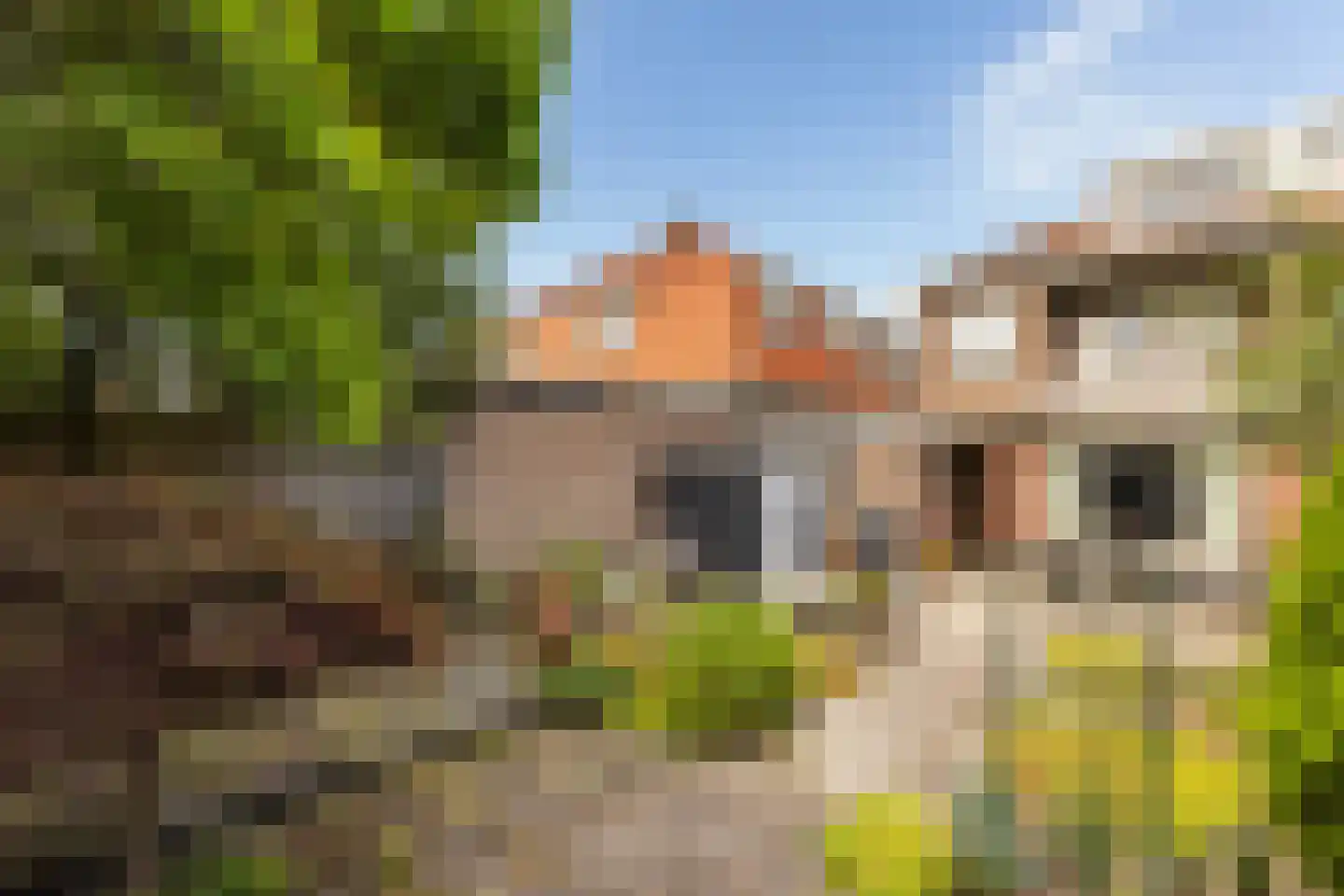 Burgemeester de Bruïnelaan 94 Zwijndrecht thumbnail 27