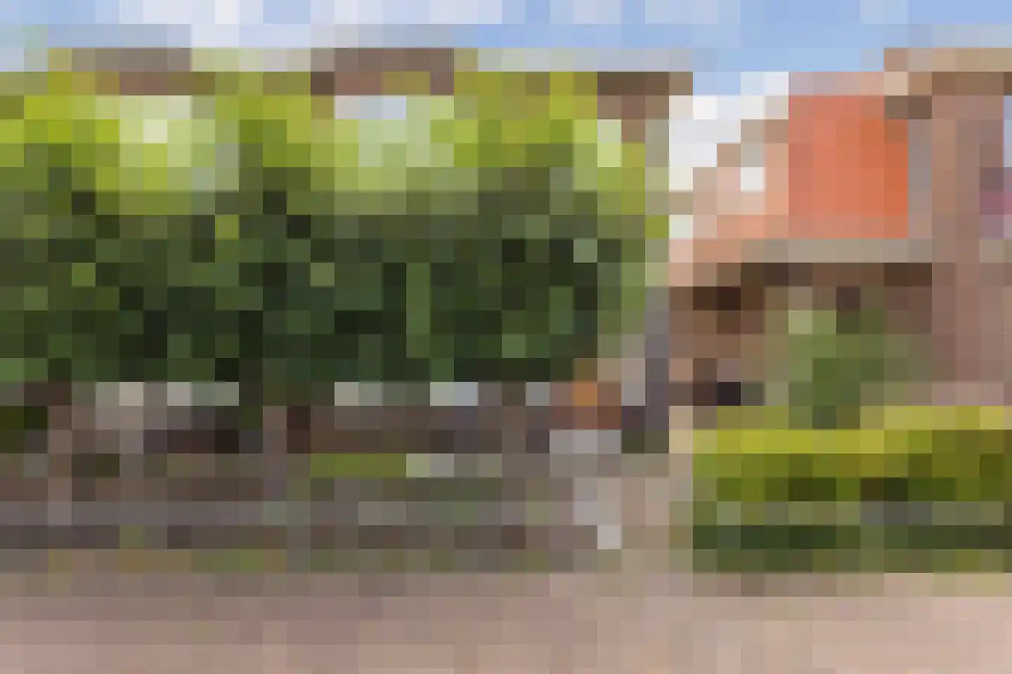 Burgemeester de Bruïnelaan 94 Zwijndrecht foto 3