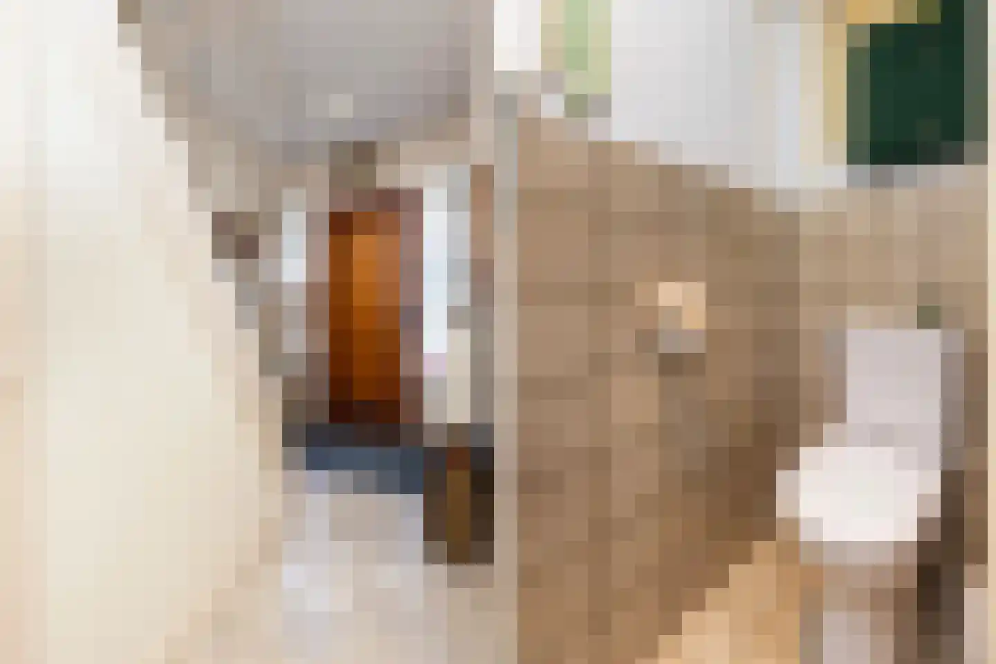 Burgemeester de Bruïnelaan 94 Zwijndrecht thumbnail 4