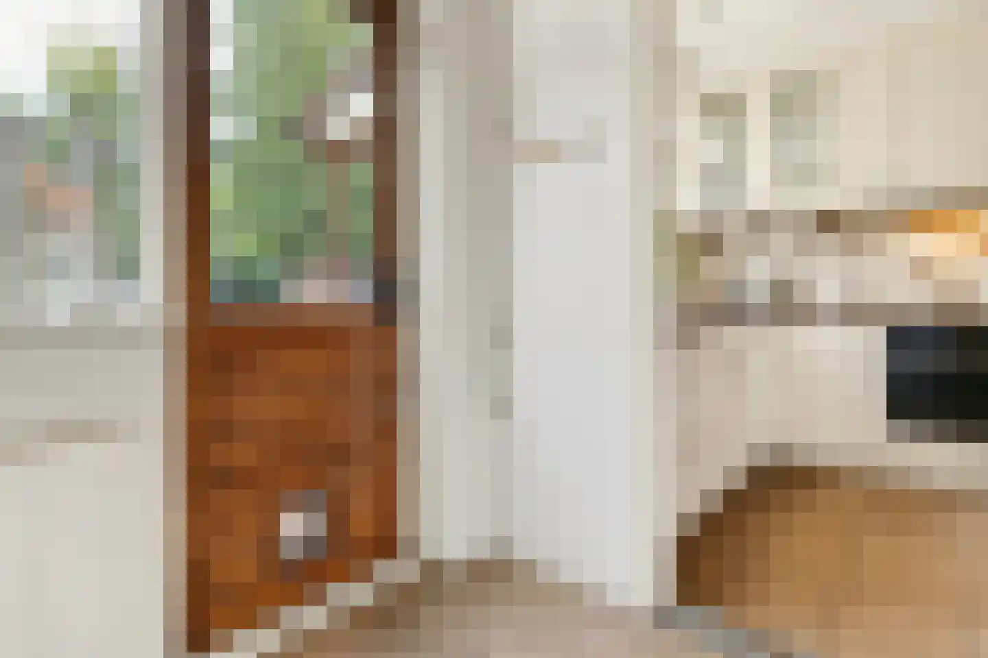 Burgemeester de Bruinstraat 86 Dieren thumbnail 15