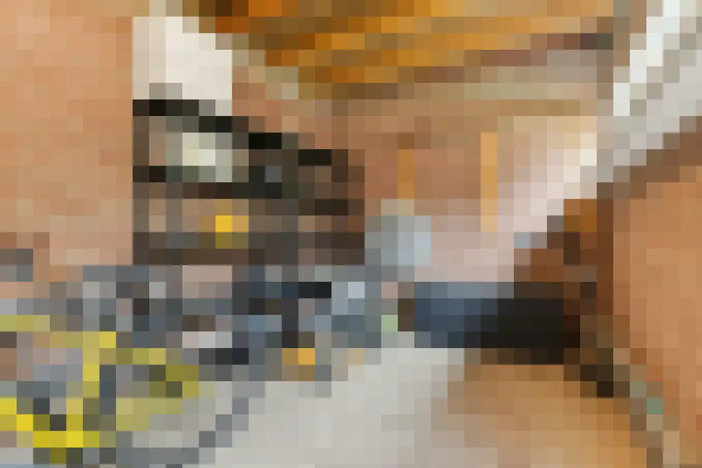 Burgemeester de Bruinstraat 86 Dieren thumbnail 39