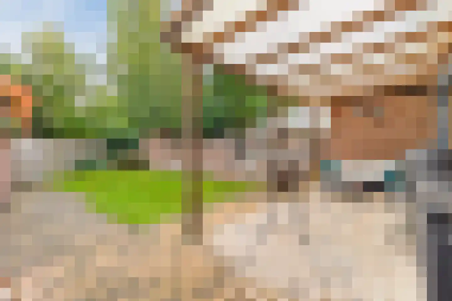 Burgemeester de Bruinstraat 86 Dieren thumbnail 43