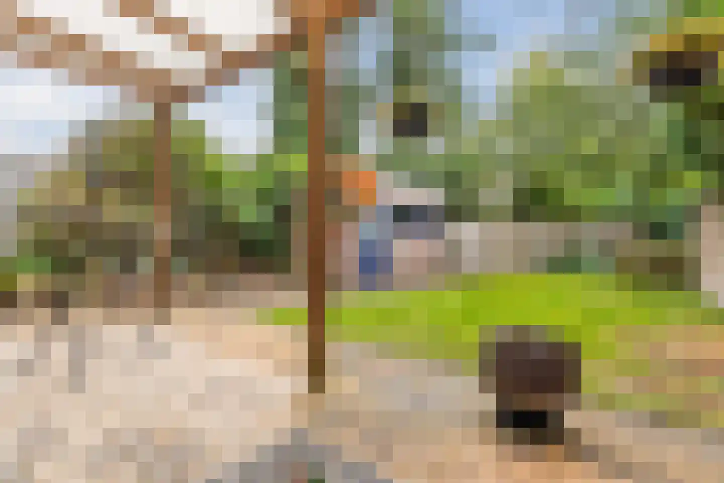Burgemeester de Bruinstraat 86 Dieren thumbnail 45