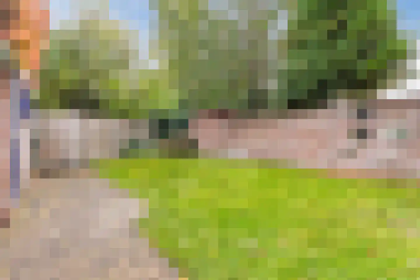 Burgemeester de Bruinstraat 86 Dieren thumbnail 46