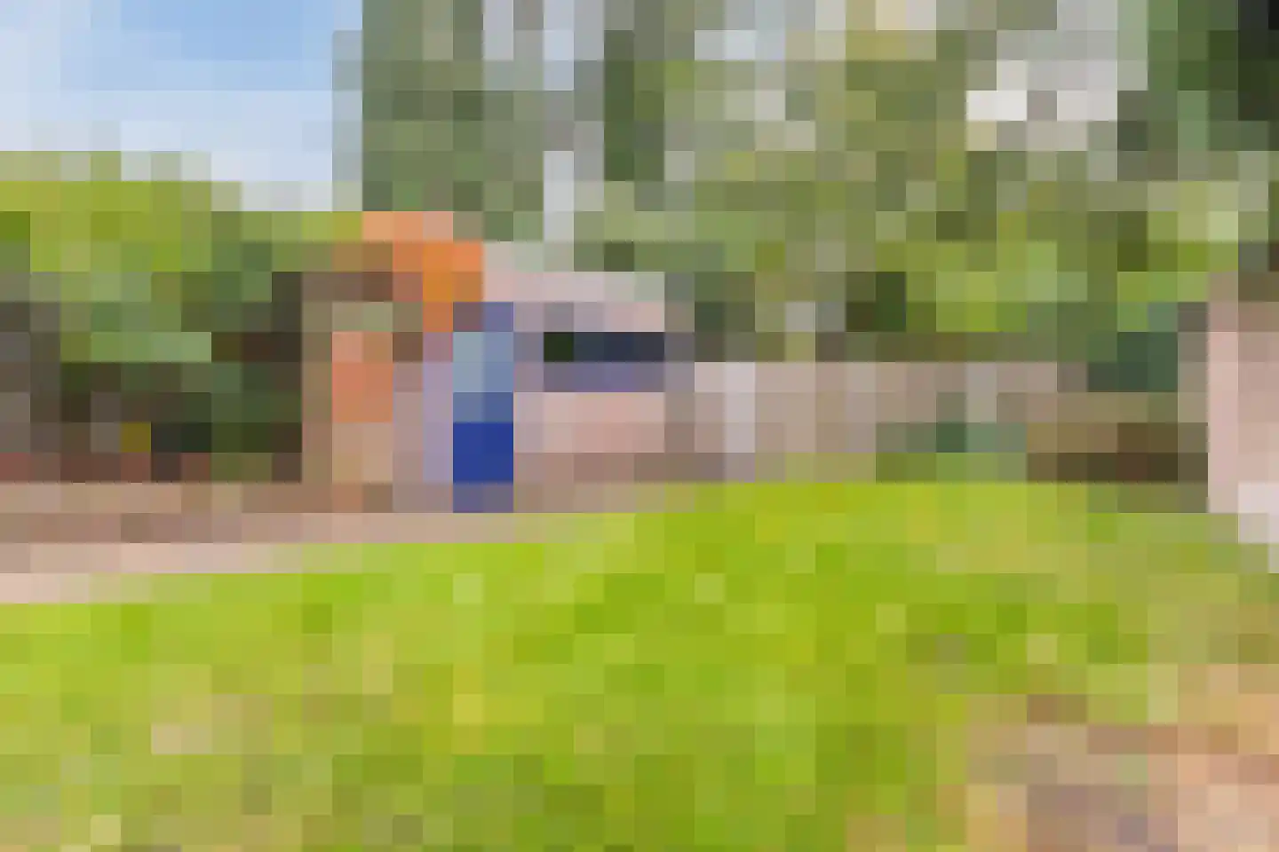 Burgemeester de Bruinstraat 86 Dieren thumbnail 47