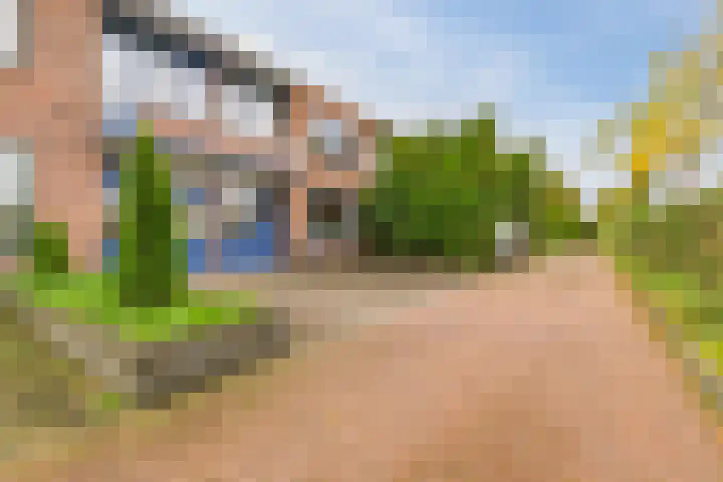 Burgemeester de Bruinstraat 86 Dieren thumbnail 56