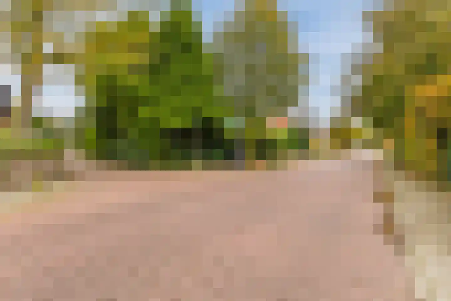 Burgemeester de Bruinstraat 86 Dieren thumbnail 58