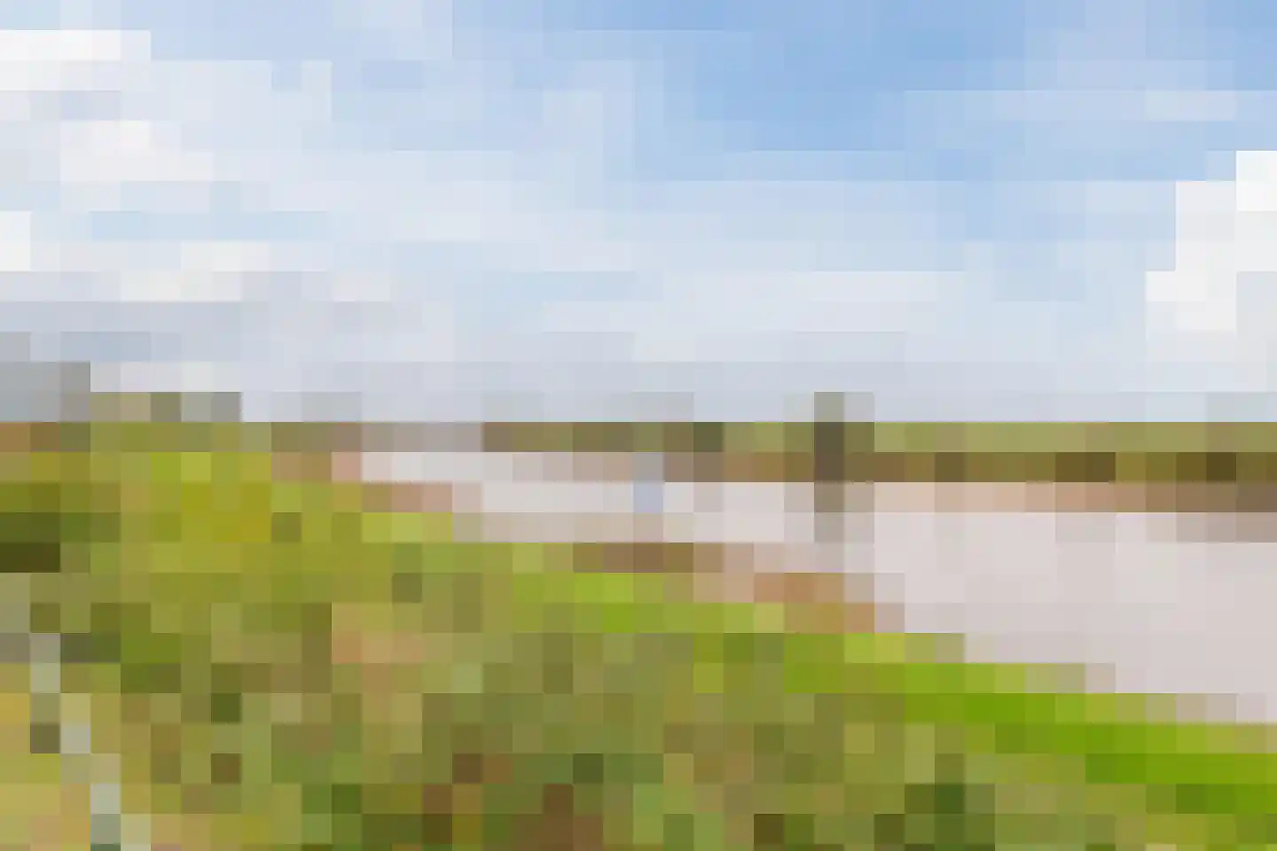 Burgemeester de Bruinstraat 86 Dieren thumbnail 59