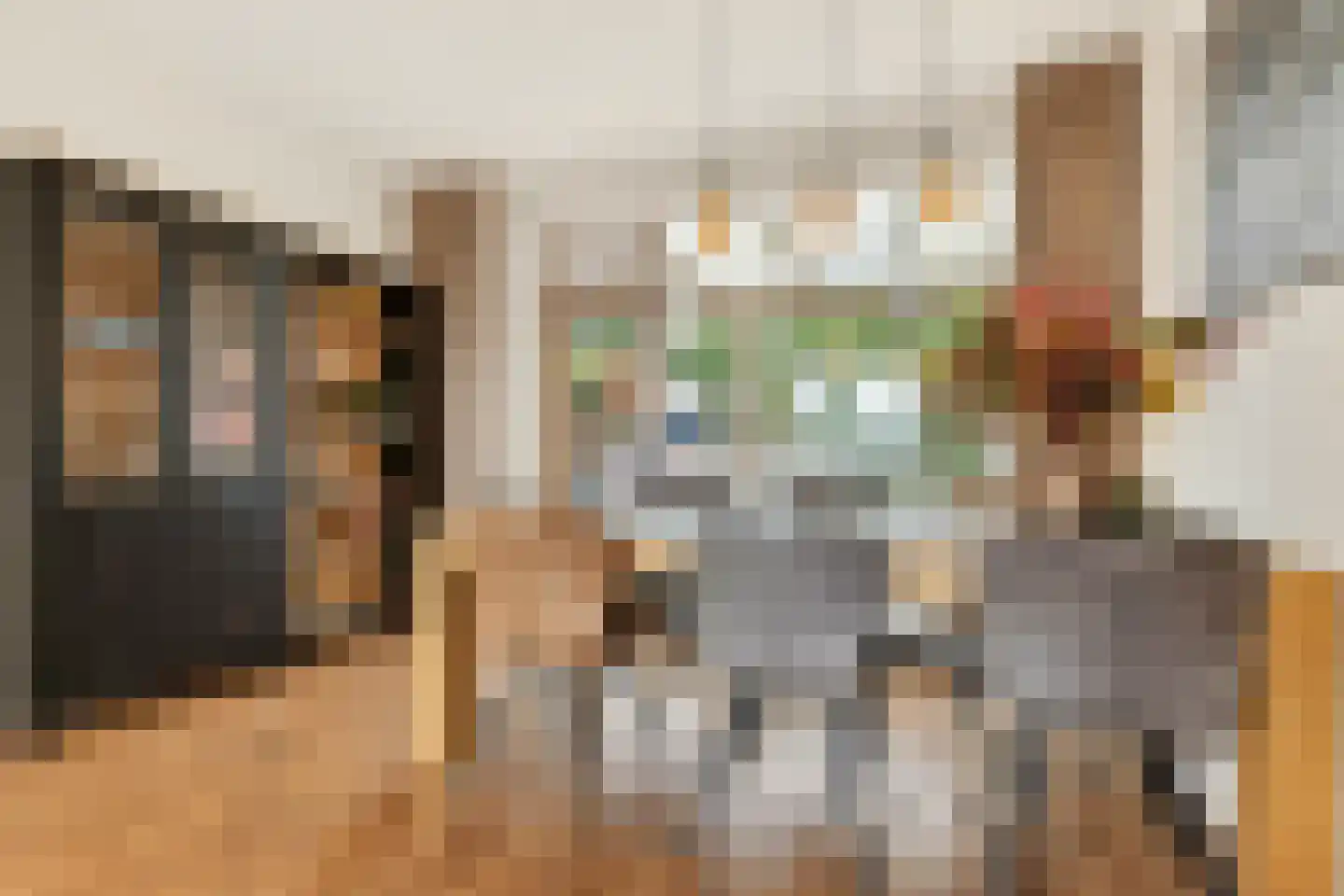Burgemeester de Bruinstraat 86 Dieren thumbnail 7