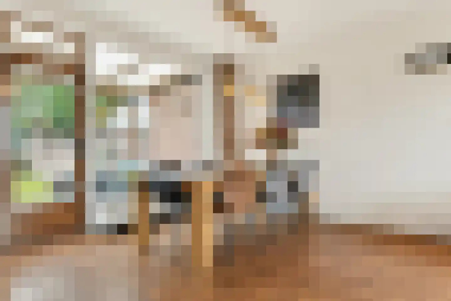 Burgemeester de Bruinstraat 86 Dieren thumbnail 8