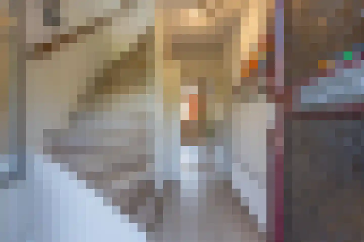 Burgemeester De Cock van Opijnenstraat 29 Tiel thumbnail 10